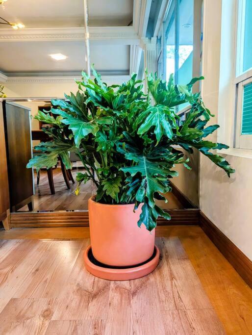 Real Condesa Apartment