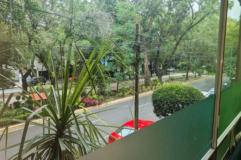 Real Condesa * Mexico City
